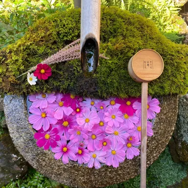 季節の花手水4