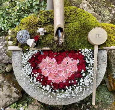 季節の花手水5