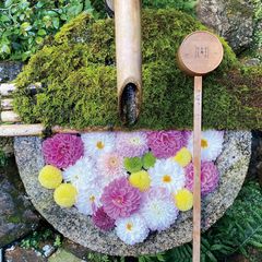 SNSで話題の花手水