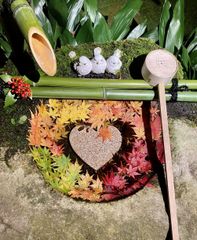 季節の花手水7