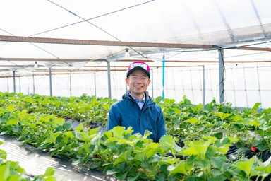 いちごマイスター　志波 邦彦さん