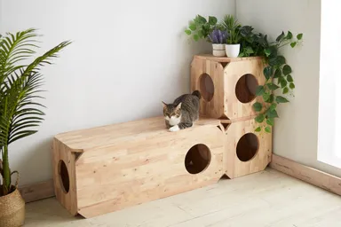 ペットベンチS,Lサイズ