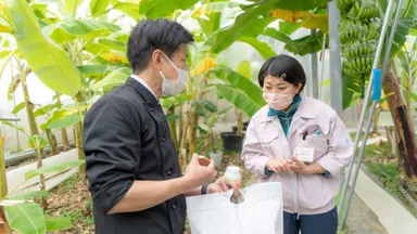 ハウスの中でプリンのお披露目