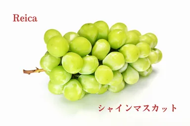 Reica「シャインマスカット」
