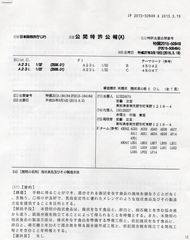 公開特許公報