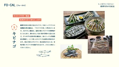 「旅色FO-CAL」薩摩川内特集　薩摩川内の名産品