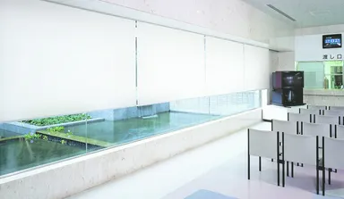 「プールス」使用例