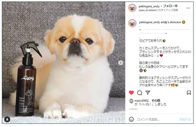 第1期アンバサダーの掲載画像(1)