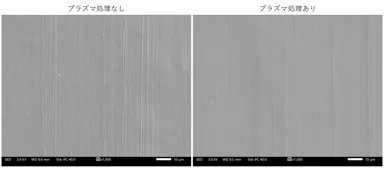 写真6. 表面の電子顕微鏡画像(1,000倍)