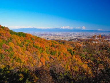 鐘撞堂山コースから見える景色(紅葉時)