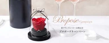 プロポーズキャンペーン