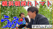 元メジャーリーガー「ムネリン」こと川崎宗則選手、横浜ホワイトフィールド産朝採れトマトの名付け親に！