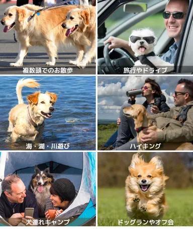 犬ともっと楽しもう