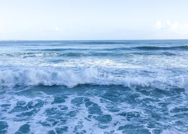 第一回新俳句フォト賞　ちーこ さん受賞作品