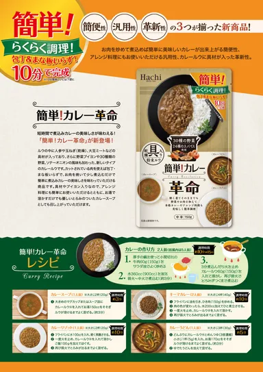 簡単！カレー革命　チラシ