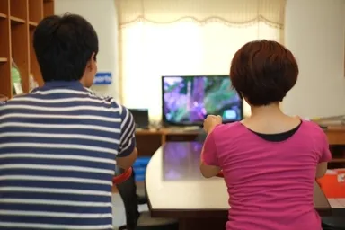 対戦使用も可能