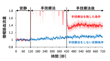 図(a):手技療法を施した条件（赤線）と手技療法を施さない条件（青線）の僧帽筋平均血流の時系列変化。薄い線は標準誤差。