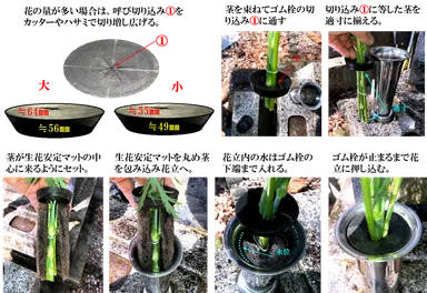 仏花の微笑み手順
