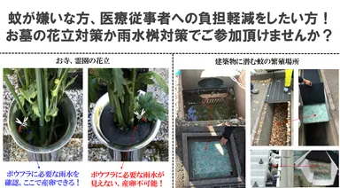 仏花の微笑み、蚊絶滅マット