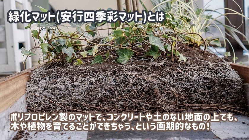 木製脚付き 淡い緑色 木製脚付き 淡い緑色