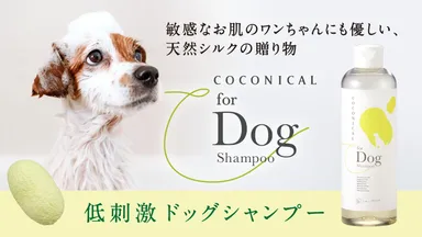 COCONICAL for Dog