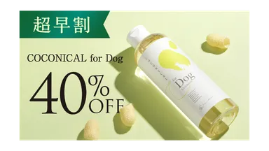 COCONICAL for Dog超早割