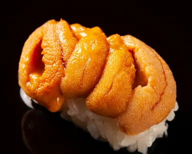 本鮪以外の握りも堪能できる