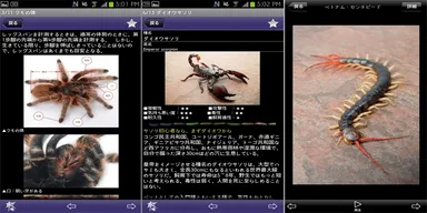 【詳細ページ(1)】【詳細ページ(2)】【フォトギャラリー】