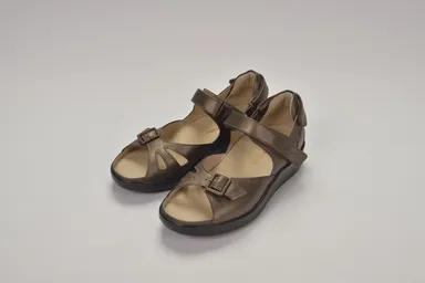 ローズマリー_ブロンズ