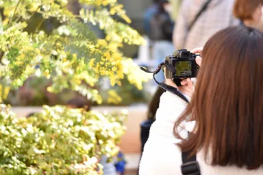 過去の実施風景