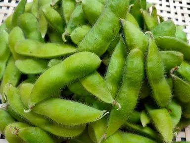 京都市産を使用