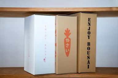 本棚収納でいつもそばに