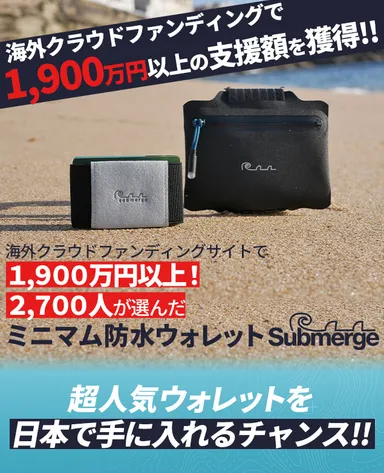 海外で大人気！