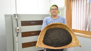 広井茶生産組合の矢野さん