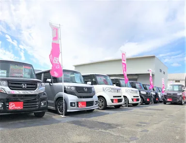 売れ筋のN-BOXが多数！