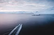 南極の海