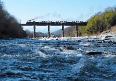 SLパレオエクスプレス　イメージ