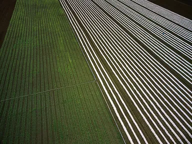 「新材料がより良い地球を創出する」とのグリーン発展のコンセプトに則り、環境にやさしい製品の生産によって、持続可能な開発を推進する