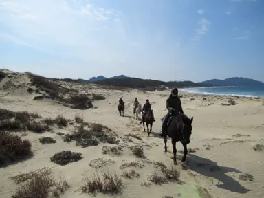 ホーストレッキング