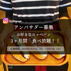 大判キャッチ
