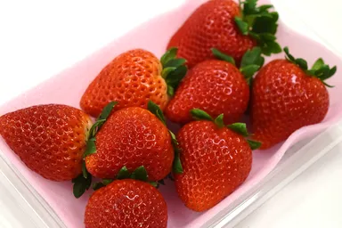 とちあいか(いちご)