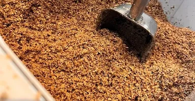 モルト粕を再利用