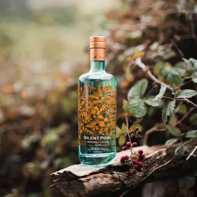 サイレントプール ジン