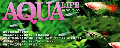 アクアライフ