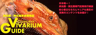 ビバリウムガイド