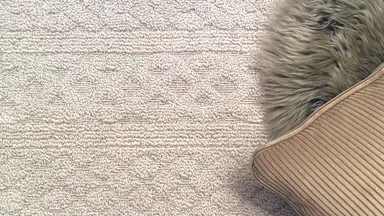 カーペットの消臭