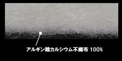 断面写真