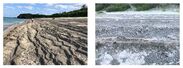 白い砂浜の一面が漂着軽石で覆われてしまった与論島の海岸(遠景と近景)