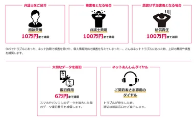 ネットあんしん保険