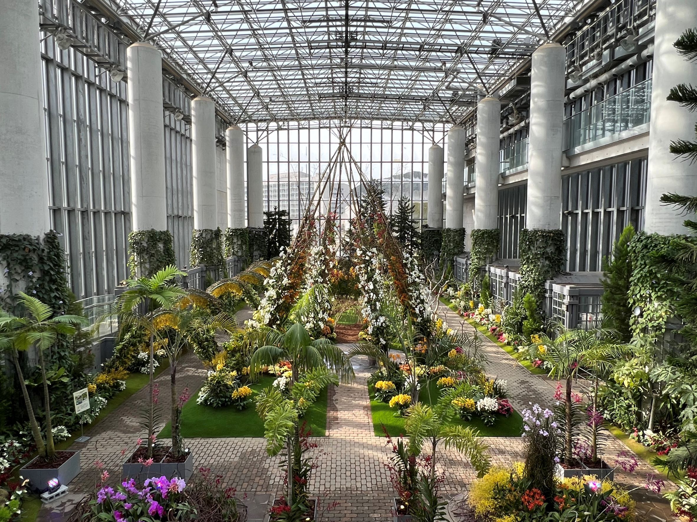 特別展 蘭展 あわじオーキッドフェスティバル 開催 日本初 の展示となる蘭があわじグリーン館で公開 兵庫県立淡路夢舞台公苑温室 あわじ グリーン館 のプレスリリース